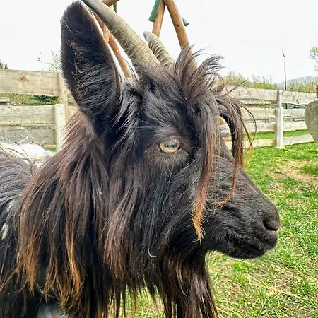 Pensión Zbojnicky